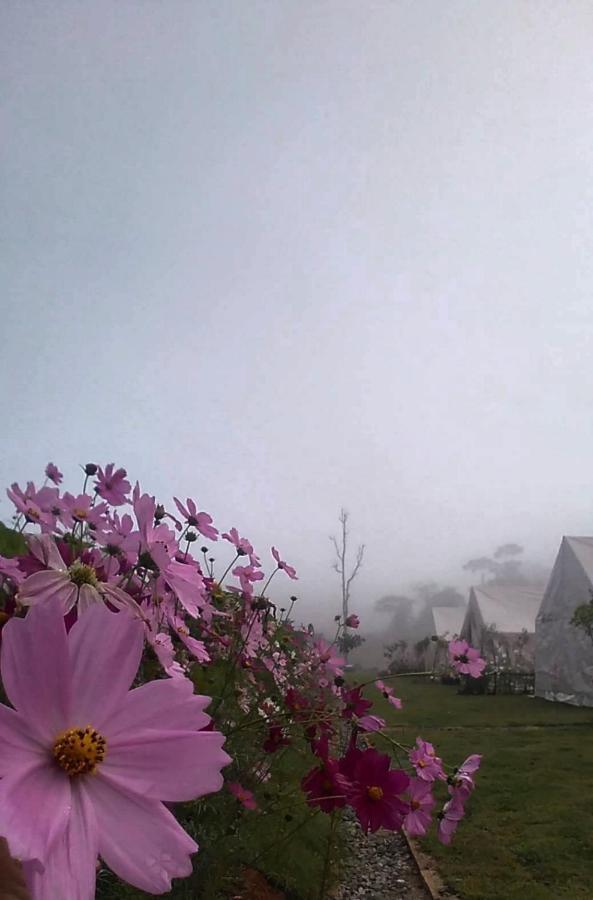 Lys I Dalen Resort&Camping Khaukho Kültér fotó