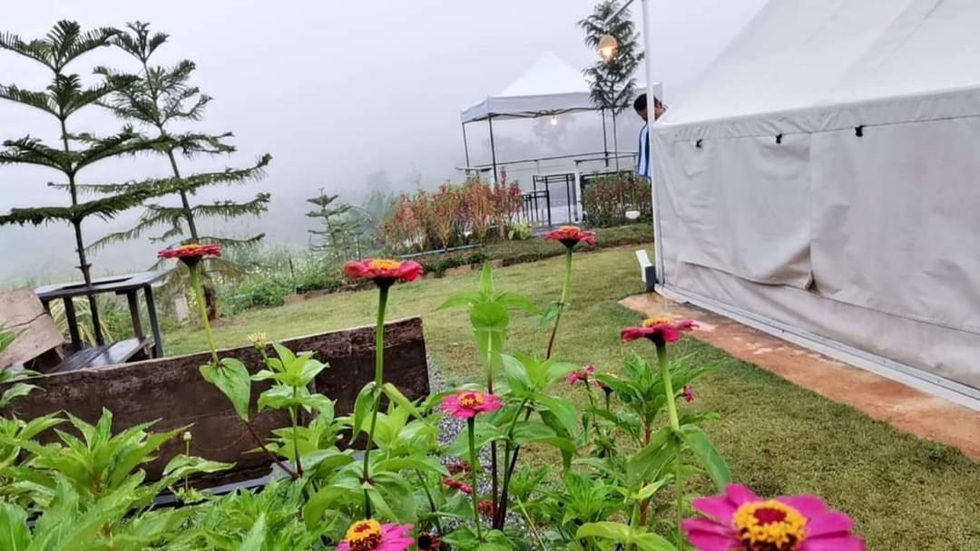 Lys I Dalen Resort&Camping Khaukho Kültér fotó